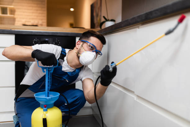 Best Bed Bug Extermination  in Palmetto Bay, FL