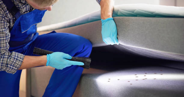 Best Flea Control Services  in Palmetto Bay, FL