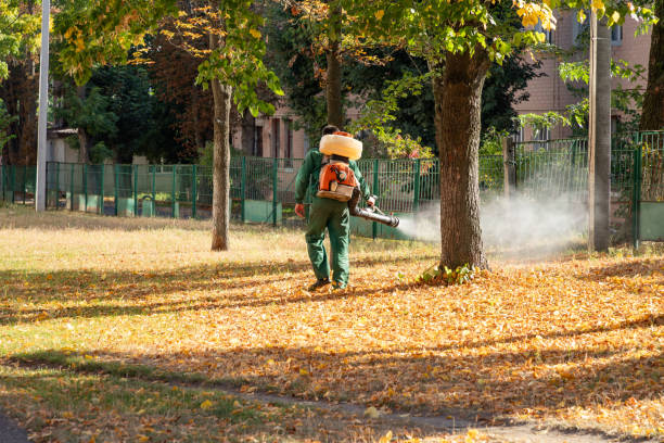 Best Wildlife Control Services  in Palmetto Bay, FL