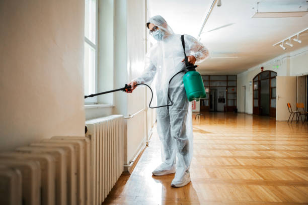 Best Insect Control  in Palmetto Bay, FL